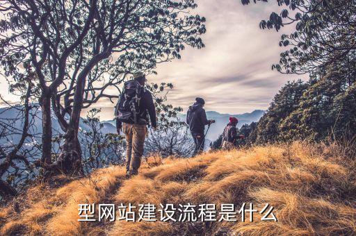 銷售公司怎么做網站,如何做一個網絡銷售的網站...